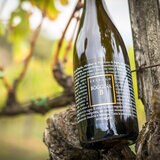 Vino Blanco Boggina 750 ml