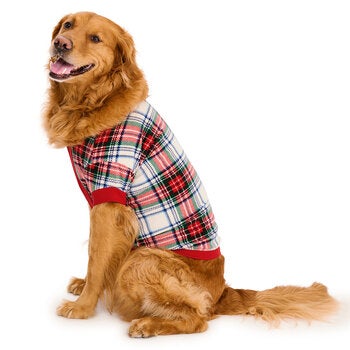 Eddie Bauer Pijama para Mascota Varias Tallas y Colores Eddie Bauer Pijama para Mascota Varias Tallas y Colores