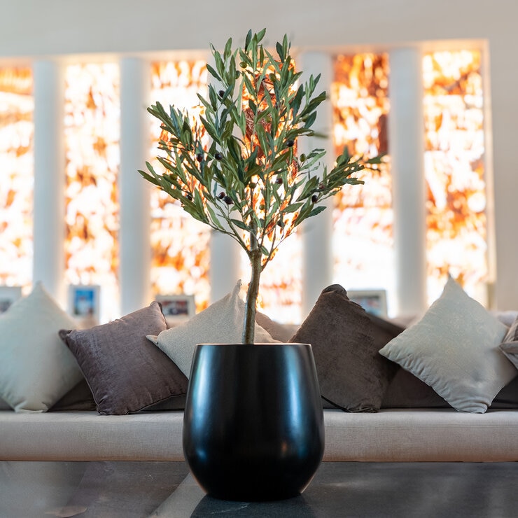 Apariencia Natural, Árbol de Olivo Artificial