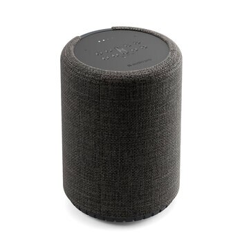 Audio Pro G10 Bocina Bluetooth con Google Assistant y Airplay 2