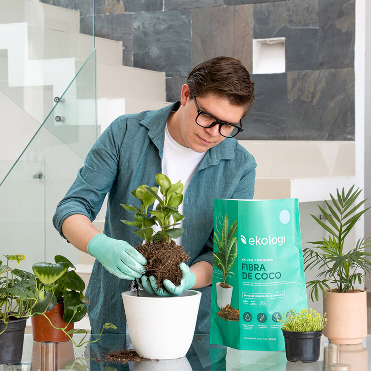 Ekologi, Fibra de Coco 2 piezas de 900g