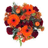 Flores de Chiltepec, Bouquet Mixto de Flores de 28 Tallos, Halloween Flores de Chiltepec, Bouquet Mixto de Flores de 28 Tallos, Halloween