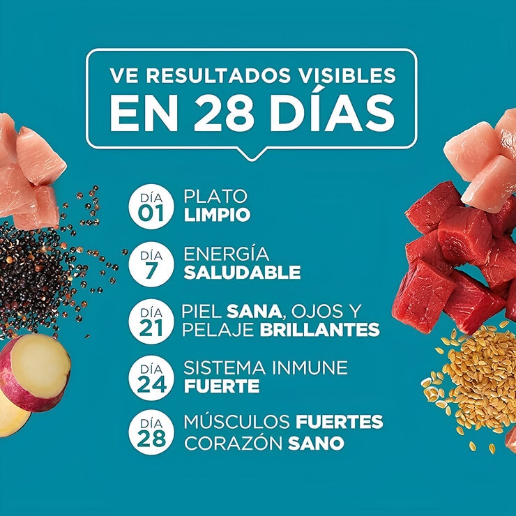 Purina One Alimento Húmedo para Gatos Multisabor 24 pzas Purina One Alimento Húmedo para Gatos Multisabor 24 pzas