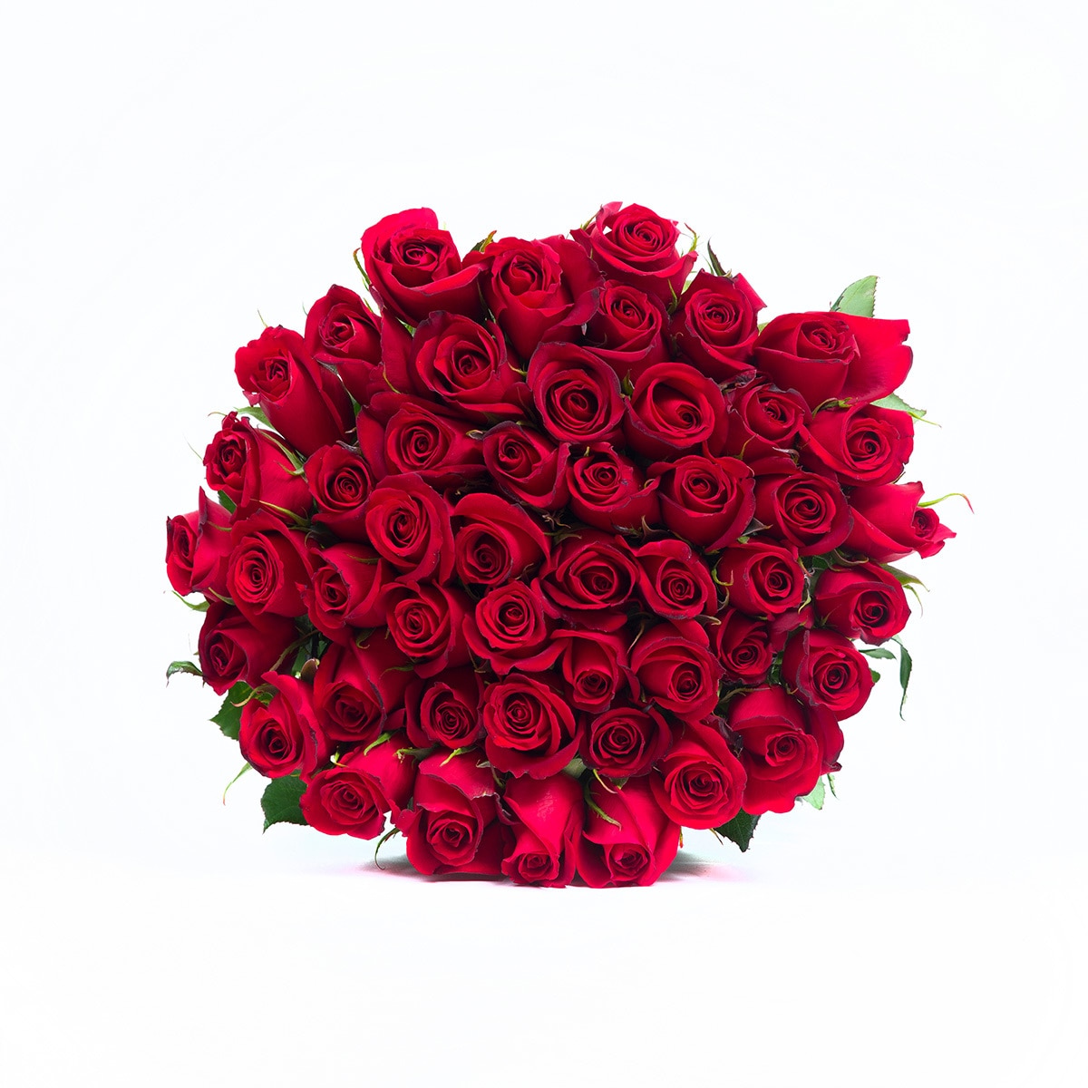 Bouquet de 48 rosas color rojo