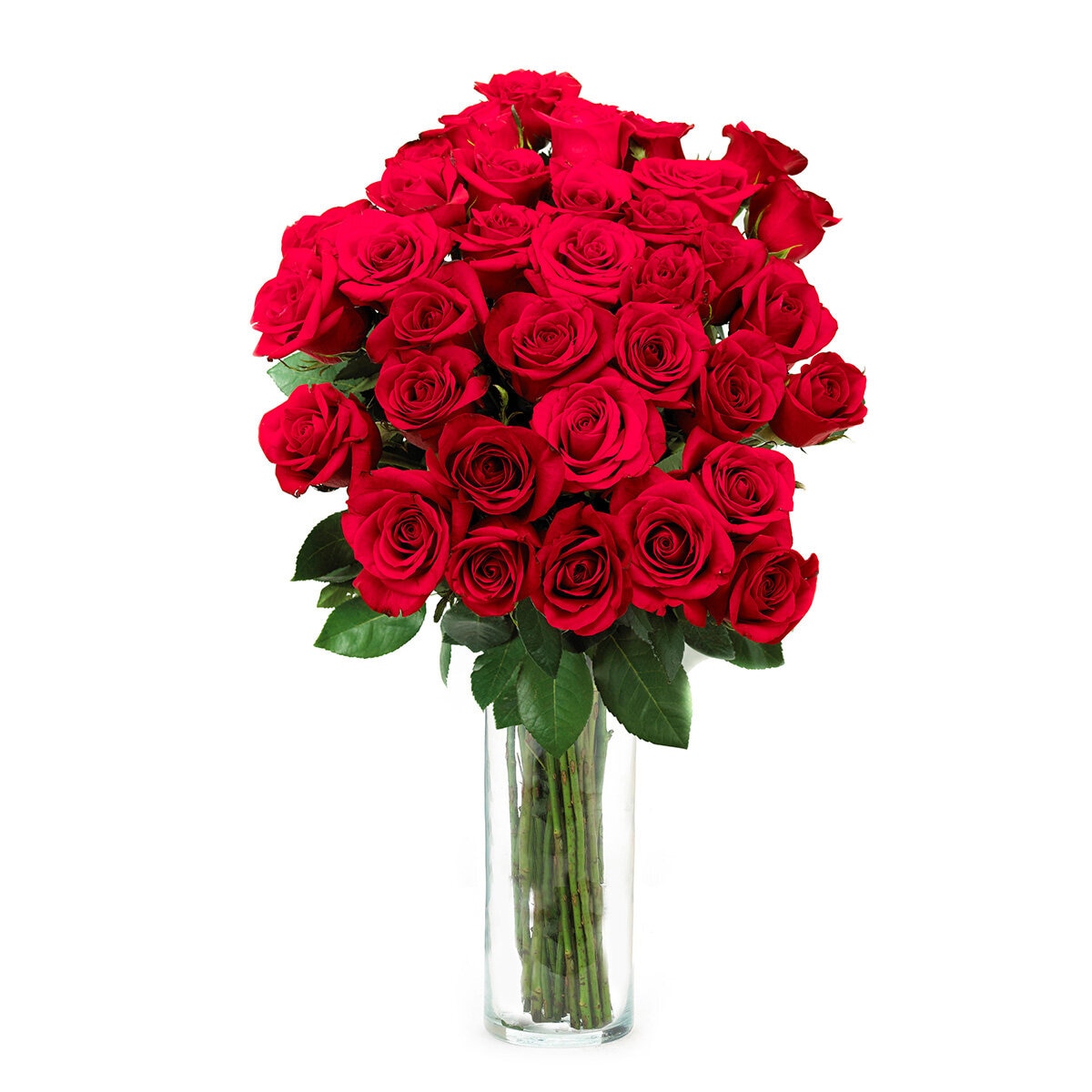 Chiltepec, Bouquet de 36 Rosas Rojas con Florero de Vidrio [Preventa]