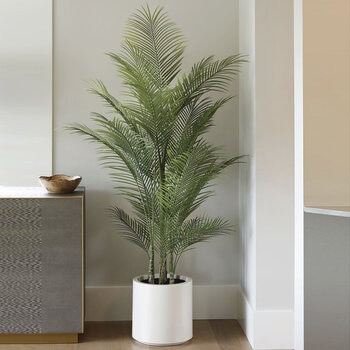 CG Hunter, Palmera Artificial