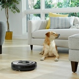  iRobot, Roomba 677 Robot Aspirador con Conexión Wi-Fi y Sensores Dirt Detect