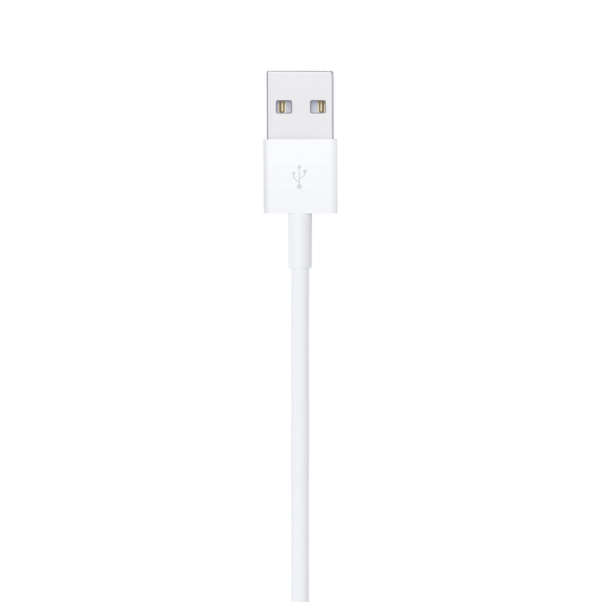 Apple Cable de Lightning a USB (0.5m) 