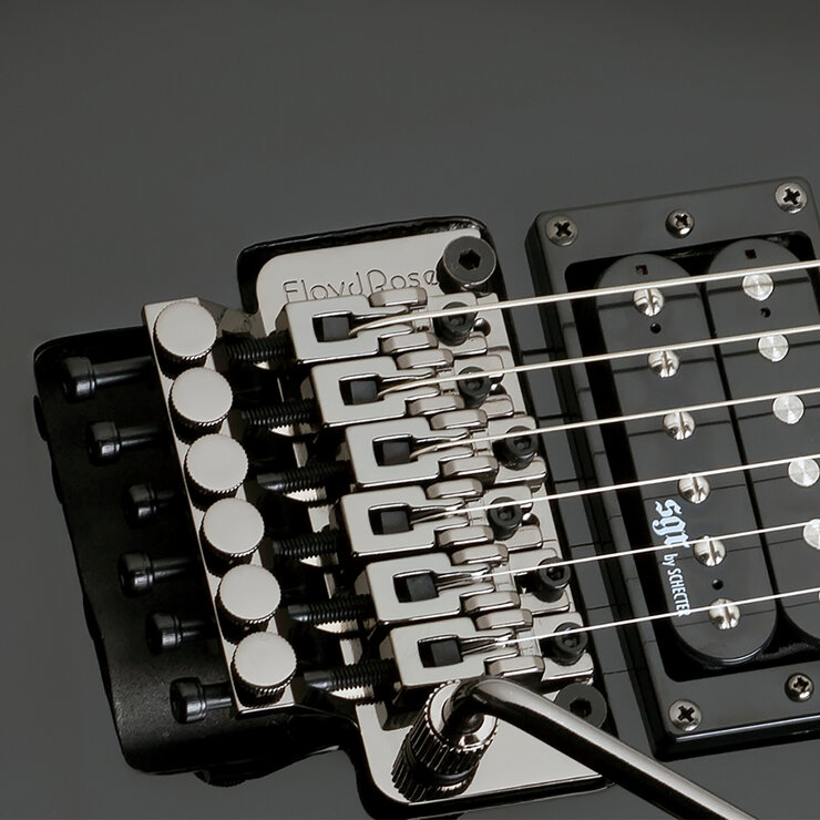 SGR By Schecter Guitarra Eléctrica C-1 FR Negro SGR By Schecter Guitarra Eléctrica C-1 FR Negro