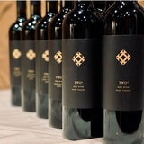 Vino Tinto Alpha Omega Red Wine 750ml