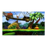 Nintendo Switch - Donkey Kong: Country Returns HD