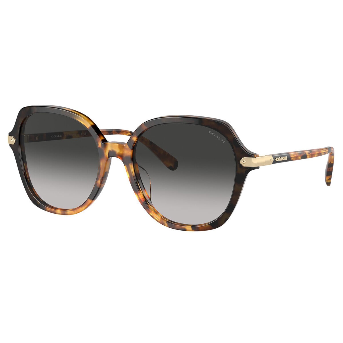 Coach 0HC8377U Lentes de Sol