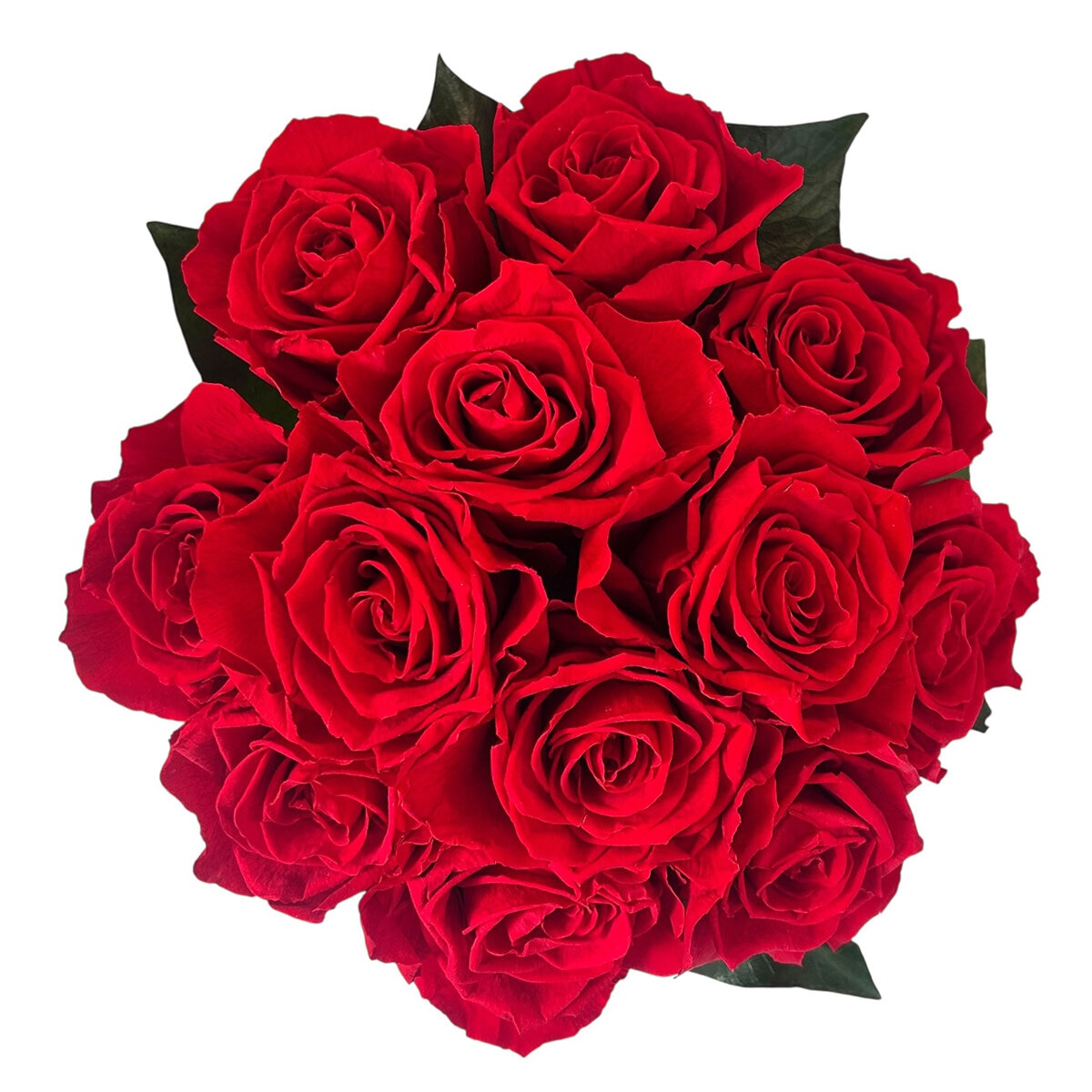 Alive,Bouquet 12 Rosas Rojas, Caja Negra, Duración 6 Meses.