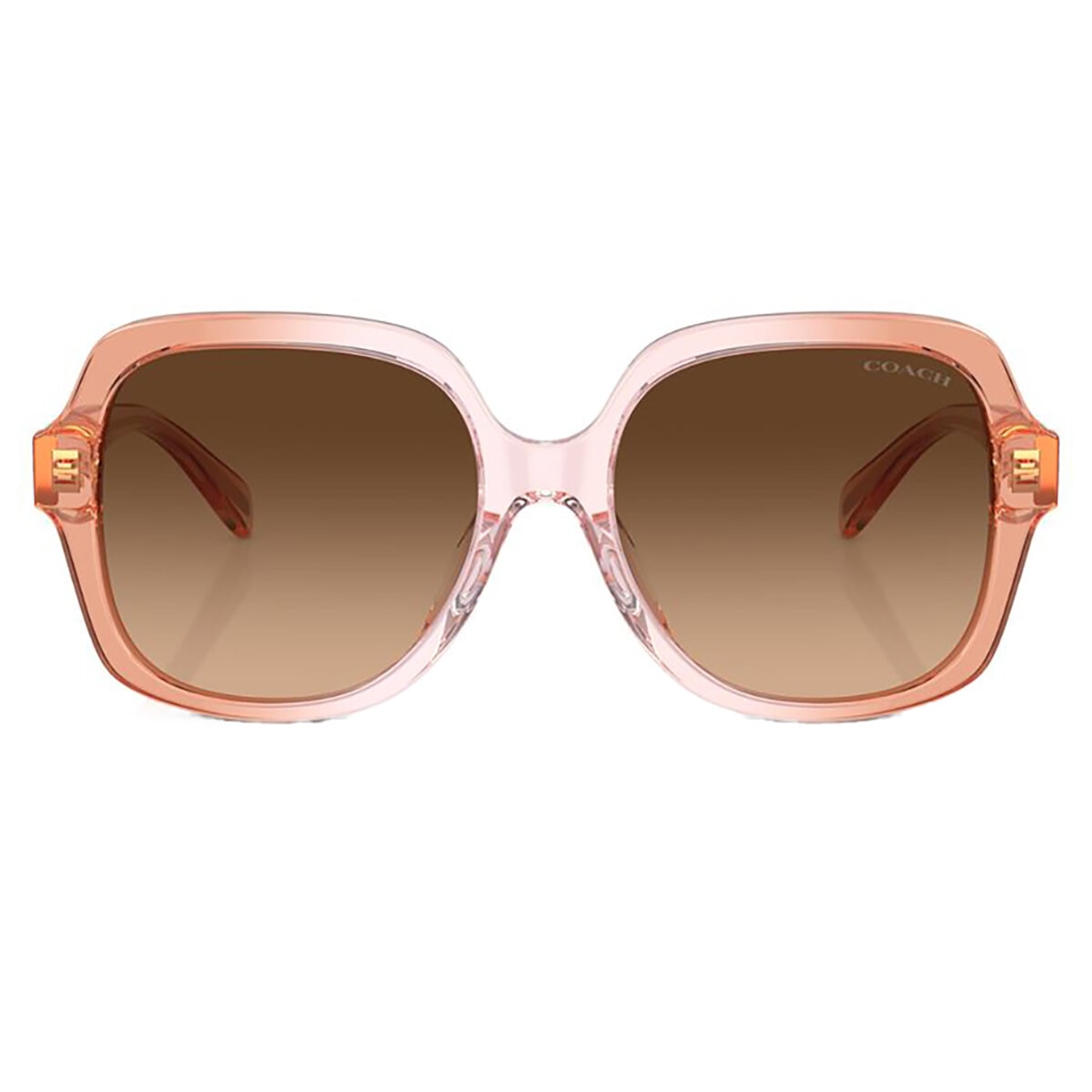 Coach 0HC8395U58127454 Lentes de Sol