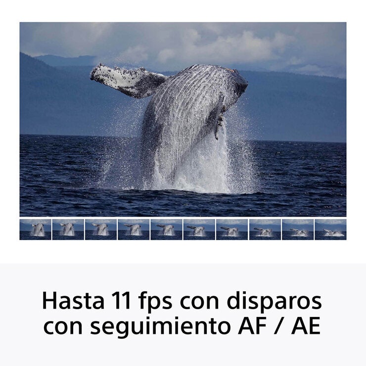 Sony Cámara Digital Mirrorless APS-C ILCE-6100K + Lente SELP16502
