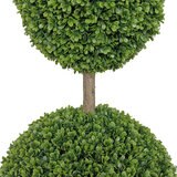 CG Hunter, Árbol Topiario de Boj de Aspecto Natural