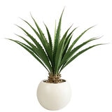 CG Hunter, Agave Artificial