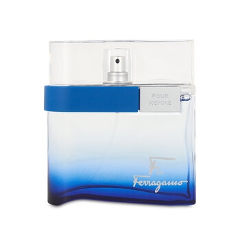 Salvatore Ferragamo Free Time 100 ml