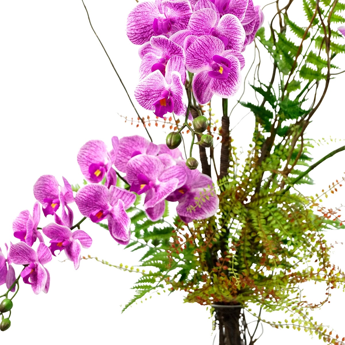 Zazh, Arreglo Floral de Orquideas, Orquidea magenta