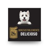 Cesar Alimento Húmedo para Perro Multisabor 24 pzas de 75 gr