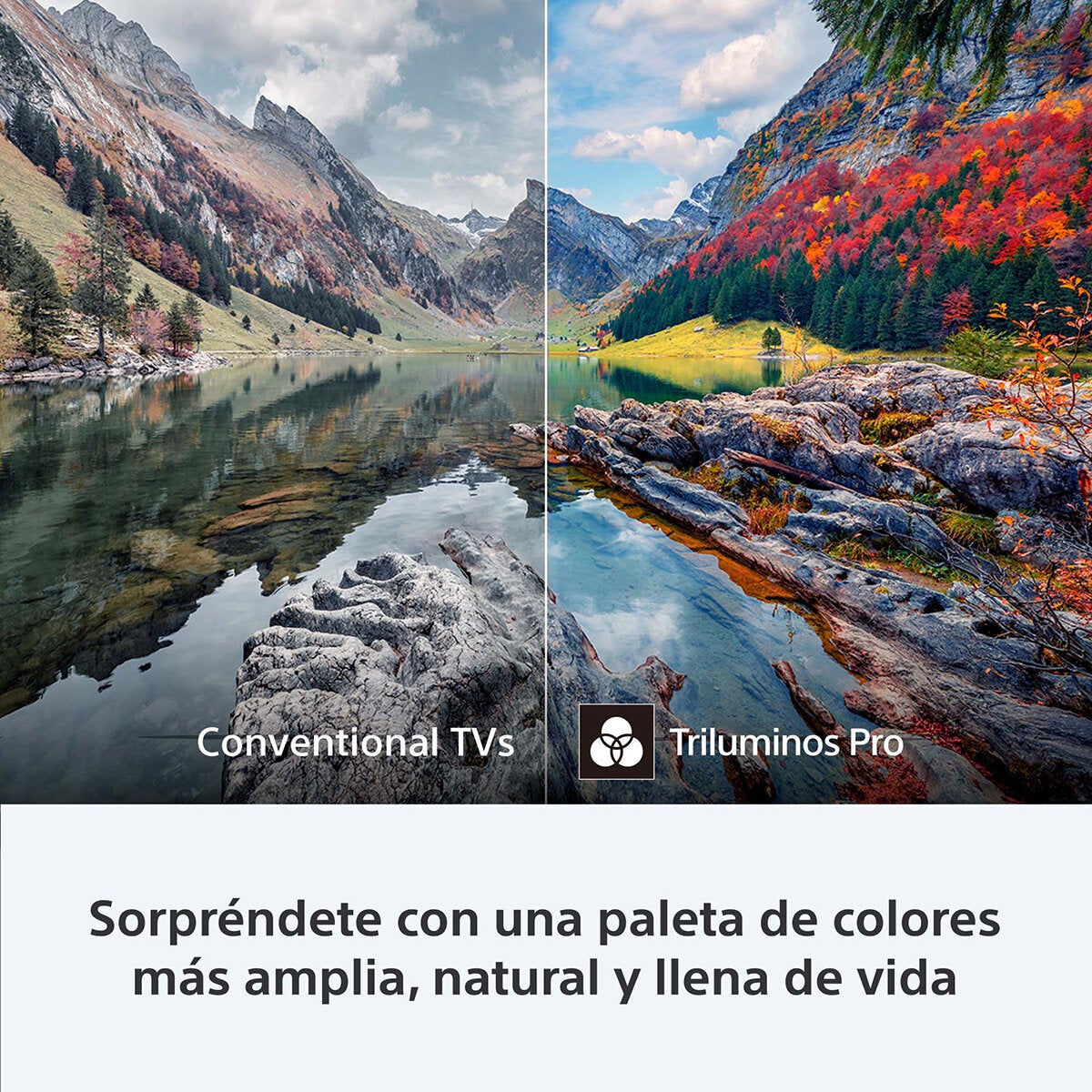 Sony Pantalla 65" OLED 4K Google TV Sony Pantalla 65" OLED 4K Google TV