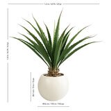 CG Hunter, Agave Artificial