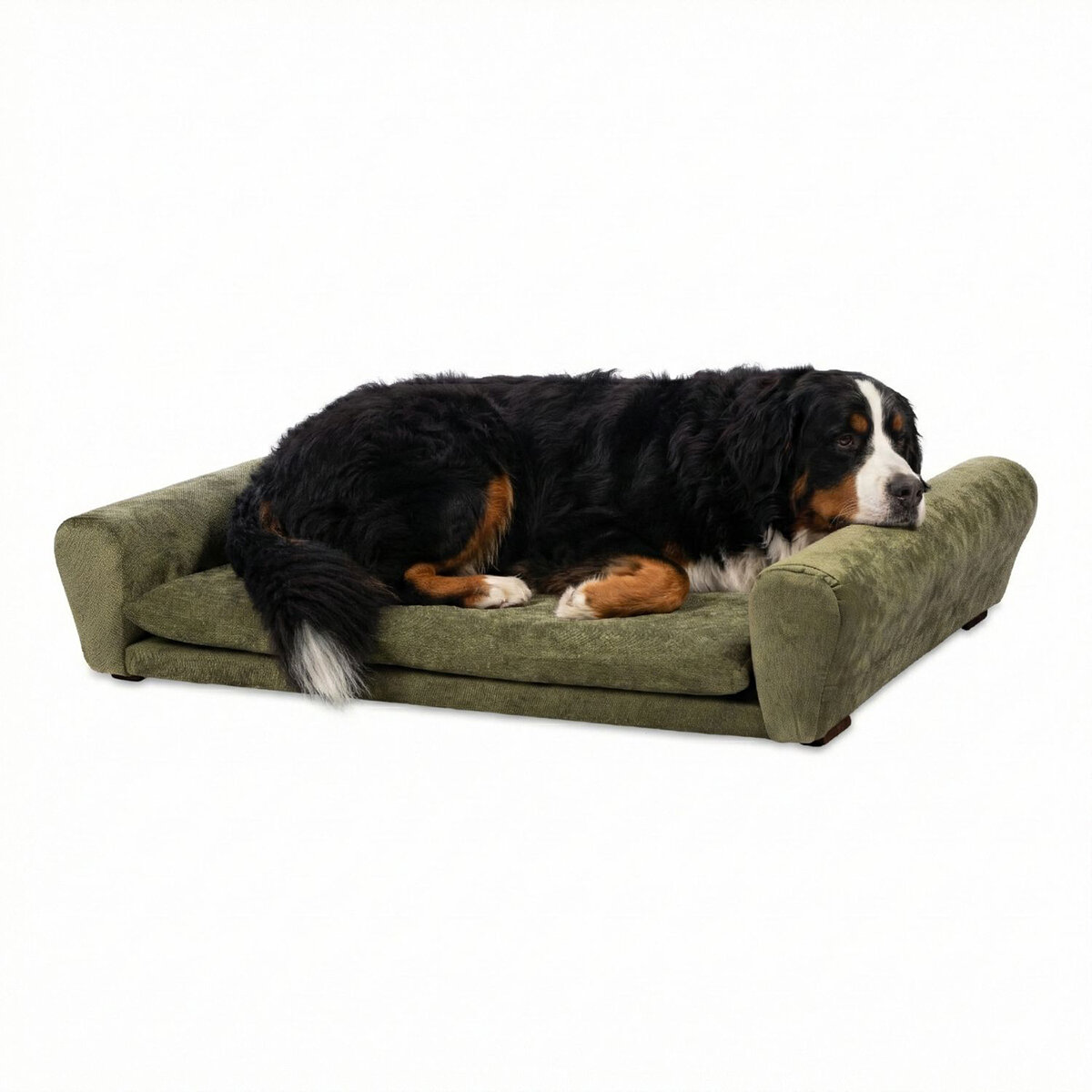 Maypet, Sillón/Cama Tamaño Grande, Estilo Minimalista para Mascota, Color Café o Color Verde