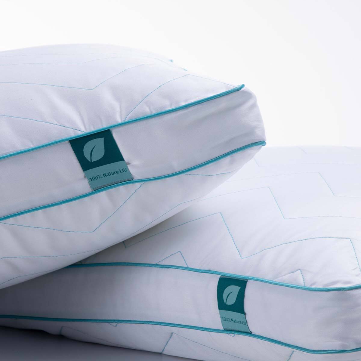 Sognare Almohada Biocalyptus Semi Firme Est ndar Cost