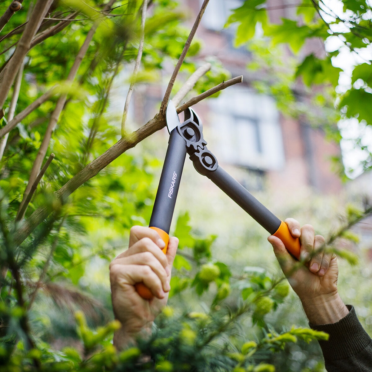 Fiskars, Set de Podadora y Tijeras