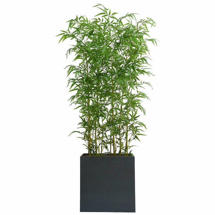 CG Hunter, Bambú de Aspecto Natural