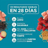 Purina One Alimento Húmedo para Gatos Multisabor 24 pzas Purina One Alimento Húmedo para Gatos Multisabor 24 pzas