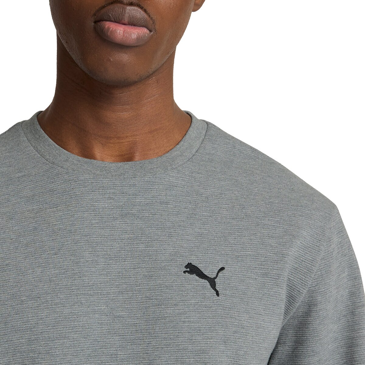 Puma Sudadera para Caballero Gris Chica Puma Sudadera para Caballero Gris Chica