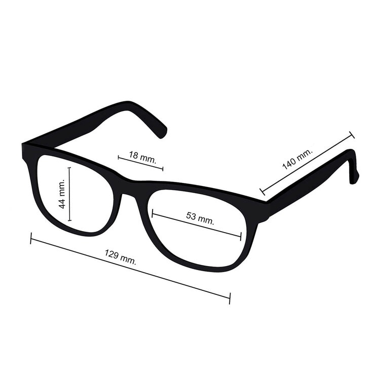 Tous STO.00C77.0XAP.53 Lentes de Sol Tous STO.00C77.0XAP.53 Lentes de Sol