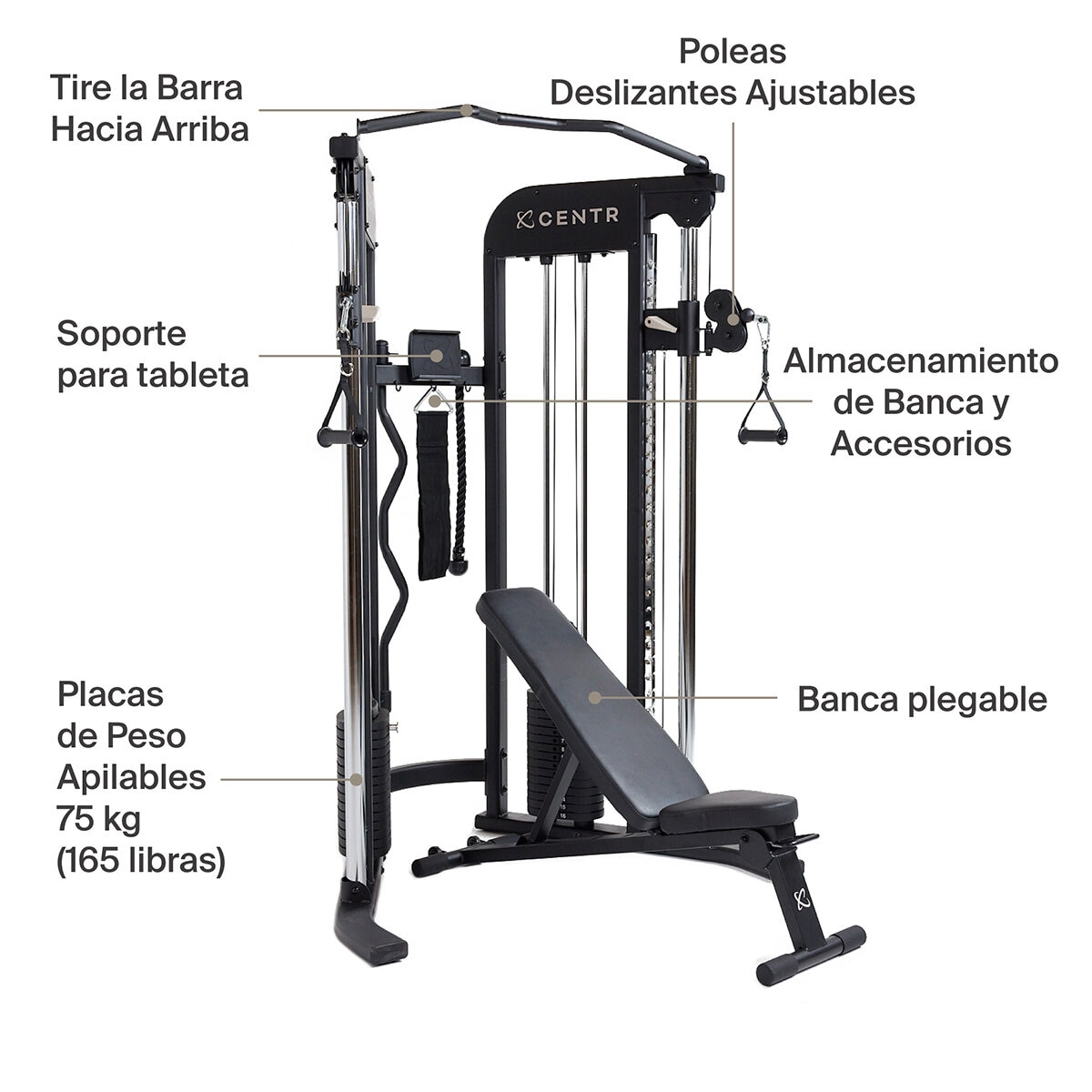 Centr Gimnasio FTX con Banca Plegable