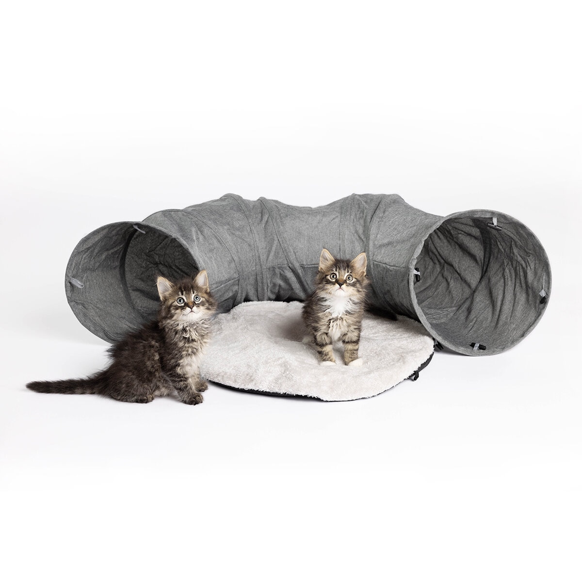 Companion Gear Tunel para Gatos 2 pzs