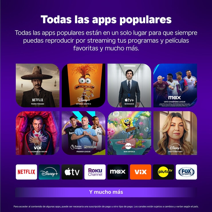 Roku Paquete de 2 Reproductores de Streaming Stick HD