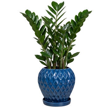 Estudio Floga, Maceta de Cerámica, Estilo Fresa, 1 Pieza Estudio Floga, Maceta de Cerámica, Estilo Fresa, 1 Pieza