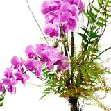 Zazh, Arreglo Floral de Orquideas, Orquidea magenta