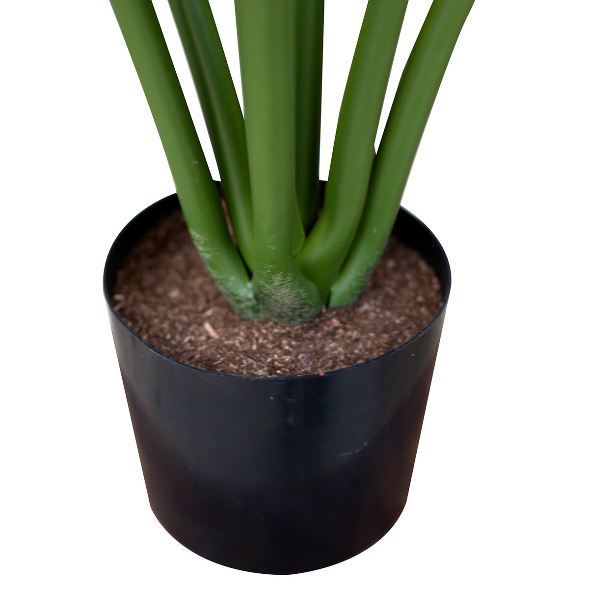 Apariencia Natural, Garra de León Artificial Apariencia Natural, Garra de León Artificial