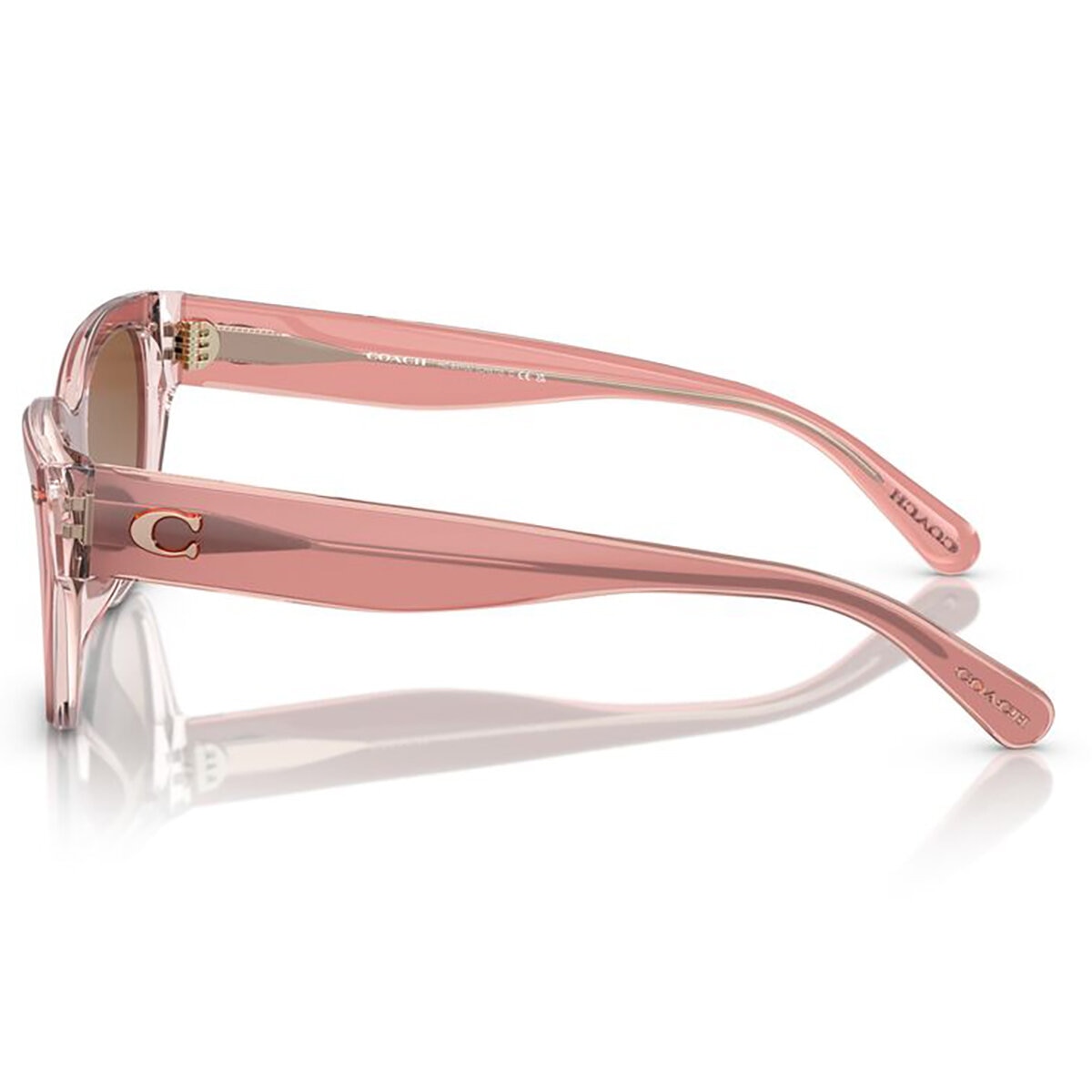 Coach 0HC8370U57431354 Lentes de Sol