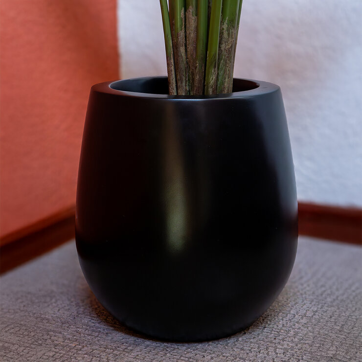 Apariencia Natural, Ave de Paraiso Artificial