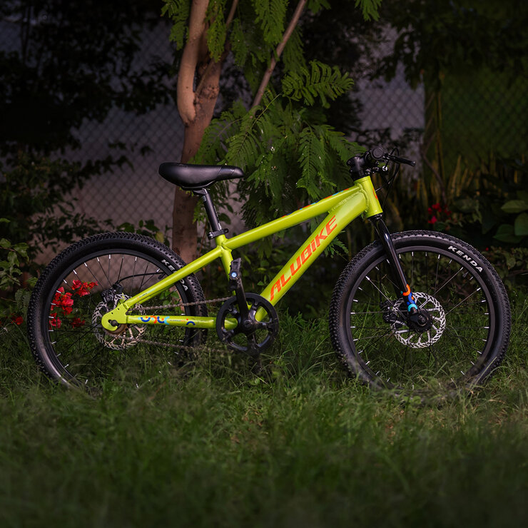 Bicicleta de Montaña R20 Alubike Siera Verde Lima