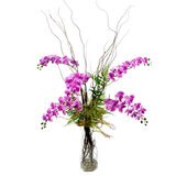 Zazh, Arreglo Floral de Orquideas, Orquidea magenta