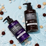 Kundal Set Coreano de Shampoo y Tratamiento Capilar 2 piezas de 718 mL