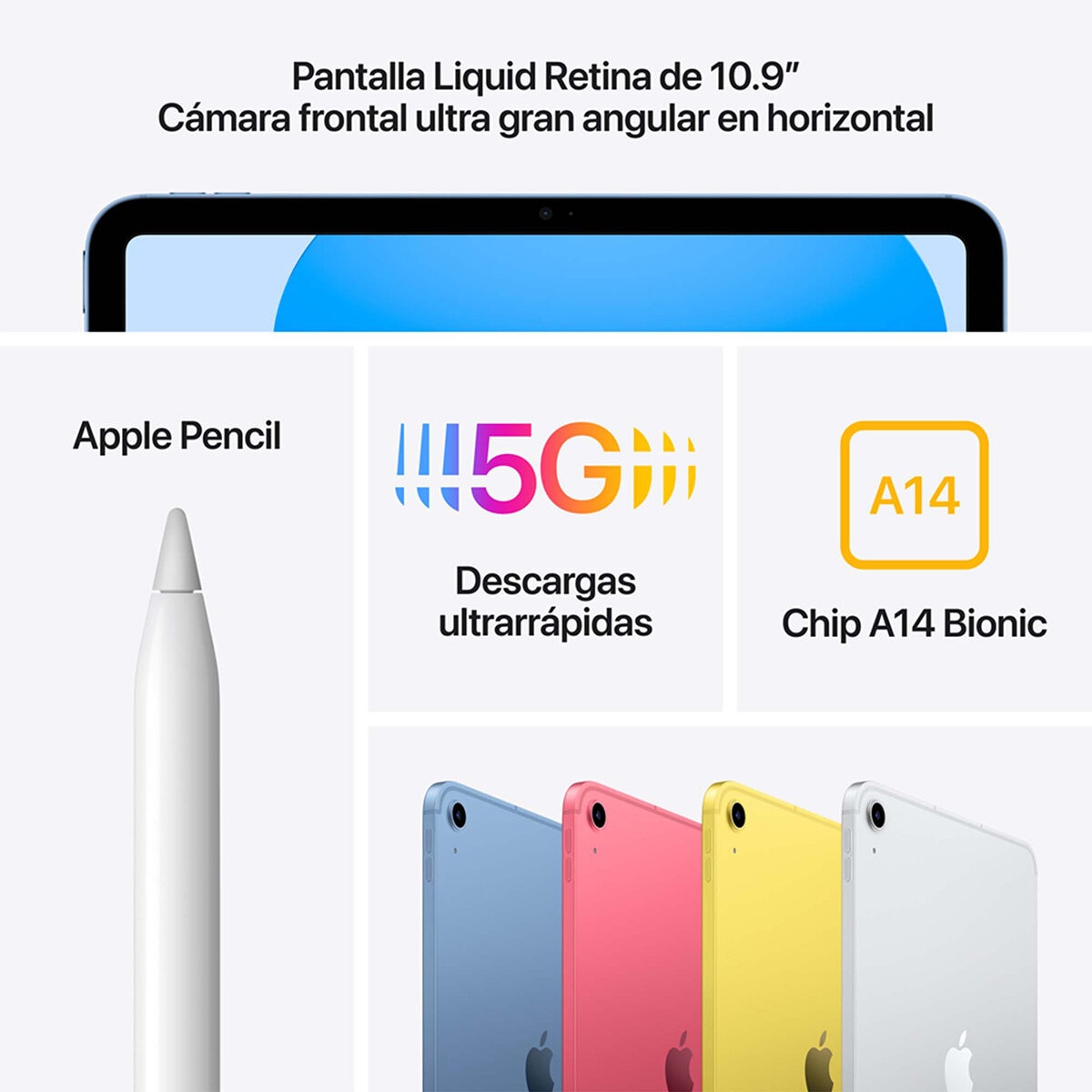 Apple iPad 10.9" Wifi + Celular 256GB Gris (10ma Generación)