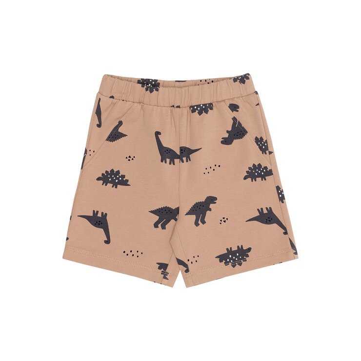 Pekkle Conjunto 4 piezas para Niños y Niñas Dinosaurios 4 Años