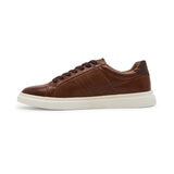 Steve Madden Tenis para Caballero Café US 12 / MEX 30