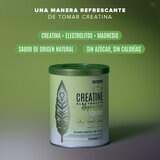 Birdman Creatina Refresher Limón 2/300 g