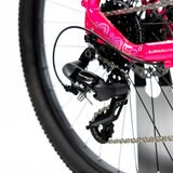 Bicicleta de Montaña R24 Alubike Sierra Rosa