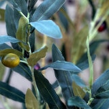 Apariencia Natural, Olivo Artificial Apariencia Natural, Olivo Artificial